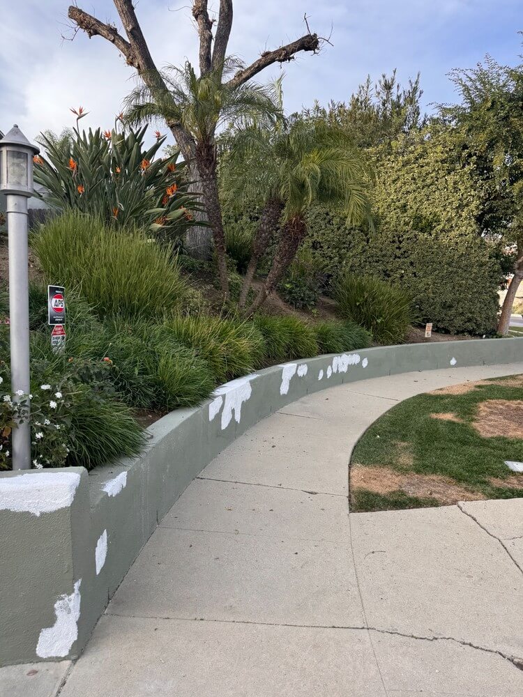 Our Recent Projects – photo № 5