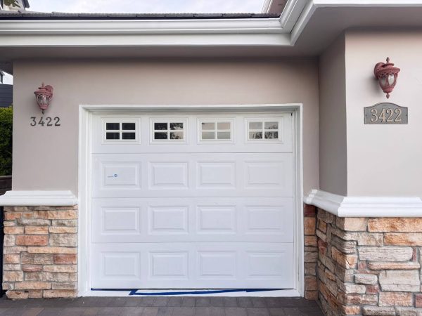 Garage Door Painting